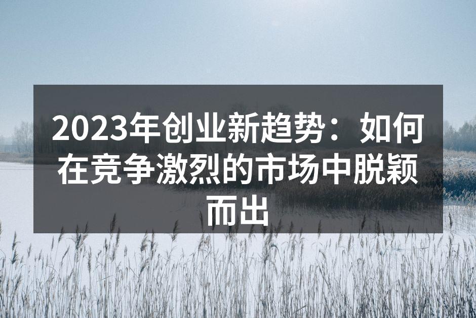 2023年创业新趋势：如何在竞争激烈的市场中脱颖而出