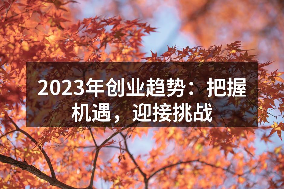 2023年创业趋势：把握机遇，迎接挑战